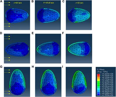 Adhesion Behaviors of Abalone Under the Action of Water Flow